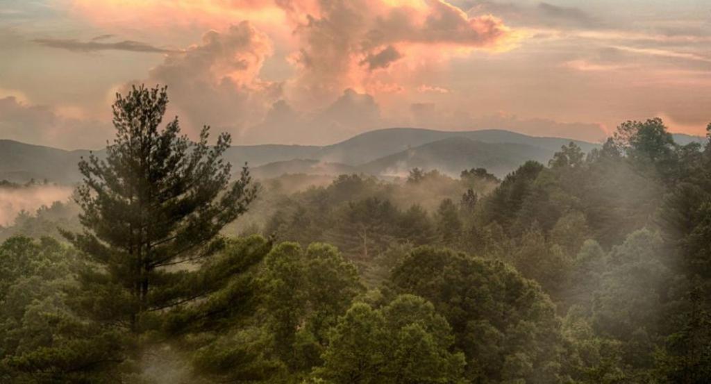 Long Mountain Lodge Bed & Breakfast Далонега Экстерьер фото