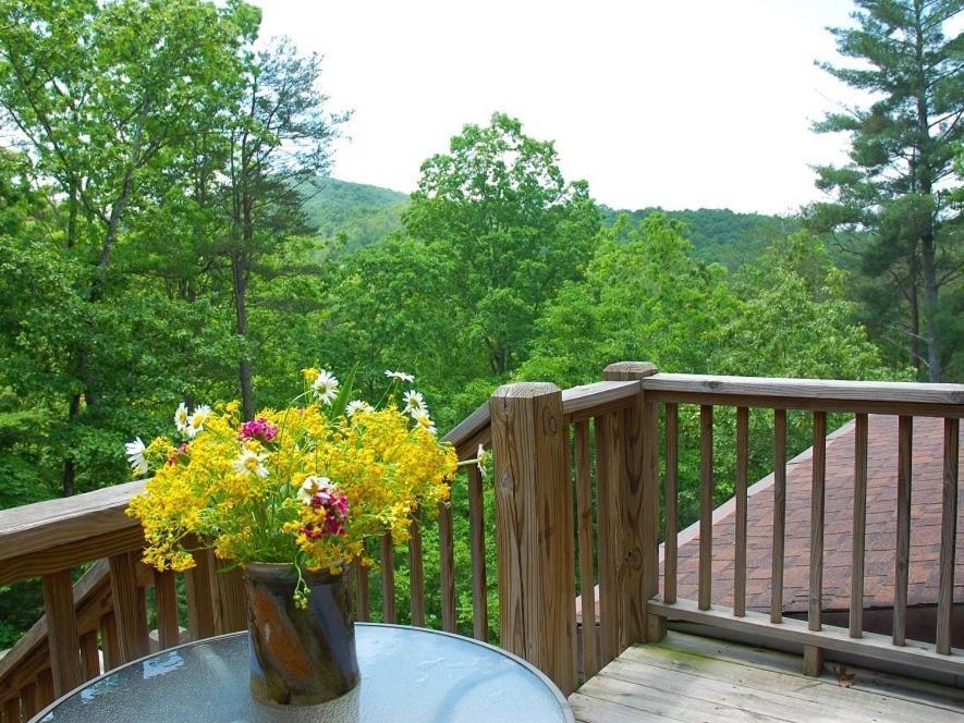 Long Mountain Lodge Bed & Breakfast Далонега Номер фото