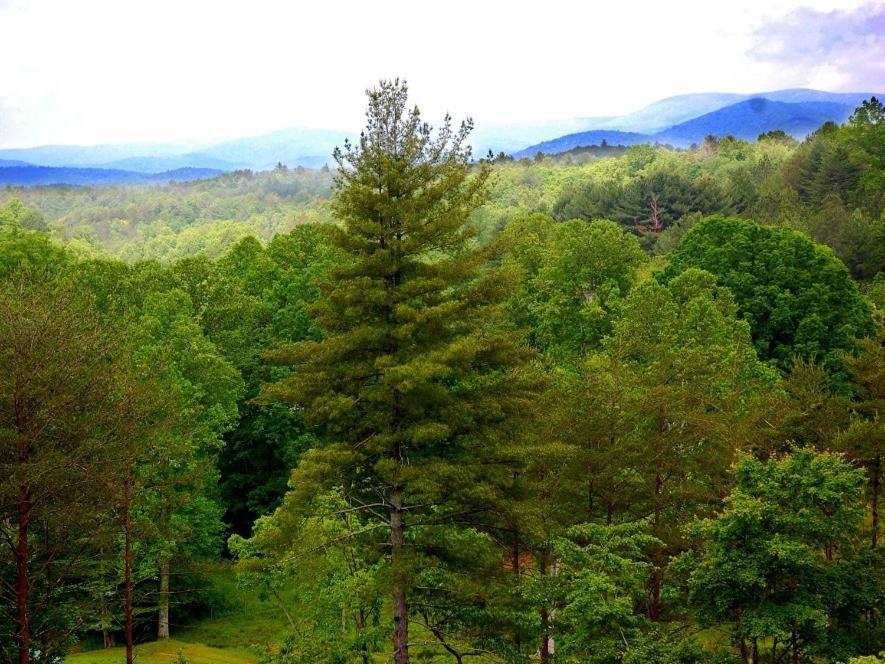 Long Mountain Lodge Bed & Breakfast Далонега Номер фото